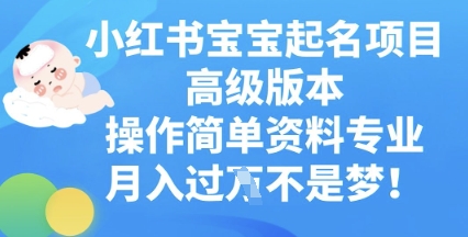 小红书宝宝起名项目高级版本，操作简单，资料专业，月入过W-轻创终点站