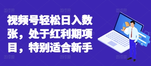 视频号轻松日入数张，处于红利期项目，特别适合新手-轻创终点站